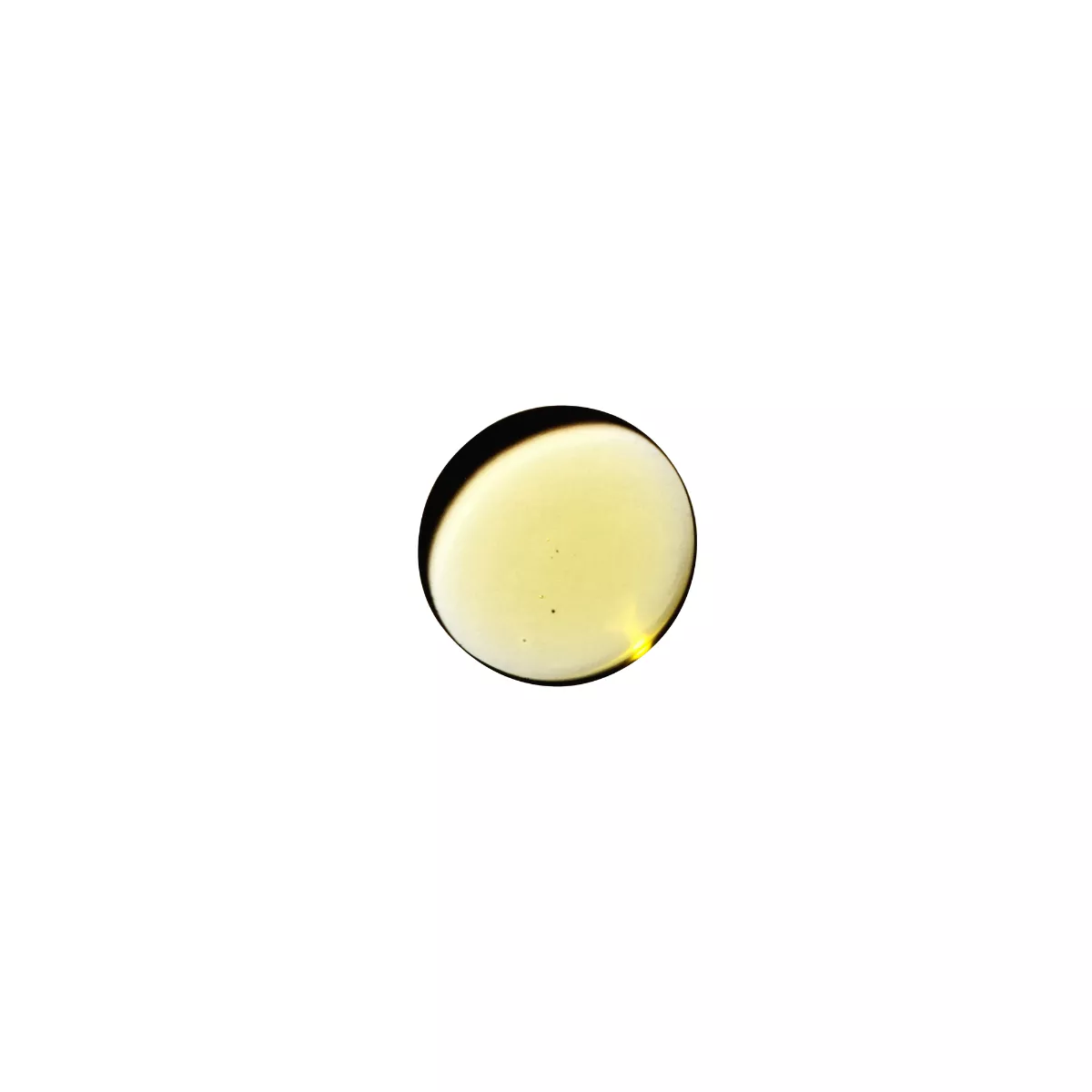 Huile de Massage Dame Products 60 ml | Bois de Santal – Image 7